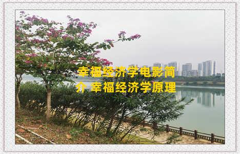 幸福经济学电影简介 幸福经济学原理